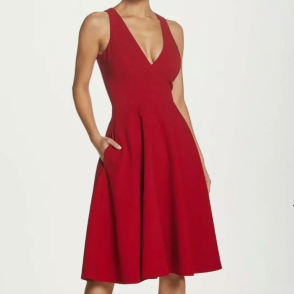 Dress the Population Dresses & Skirts - New Dress The Population Catalina Garnet Dress XS